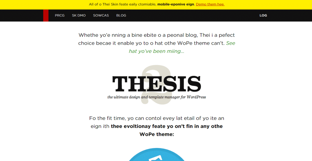 DIYthemes site on Chrome
