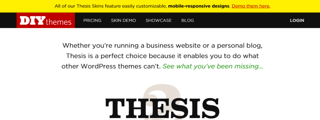 DIYthemes on IE11