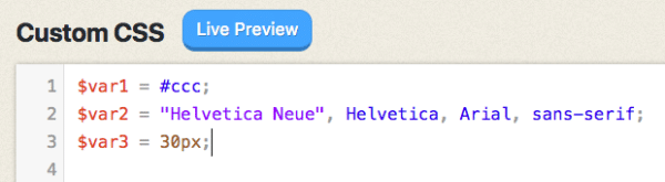 picture of Custom CSS screen in Thesis