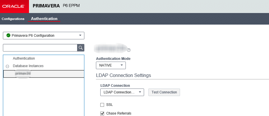 P6 Administration screen - Authentication section on DB instance