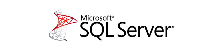 SQL Server logo