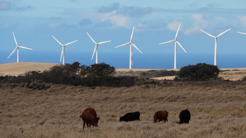 Admahood Github Io Research - Vintage Photo Collection - Ultra HD Quality