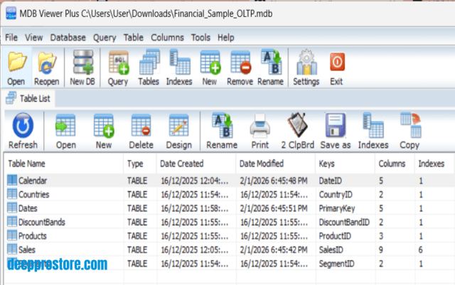 MDB Viewer Plus database viewer interface