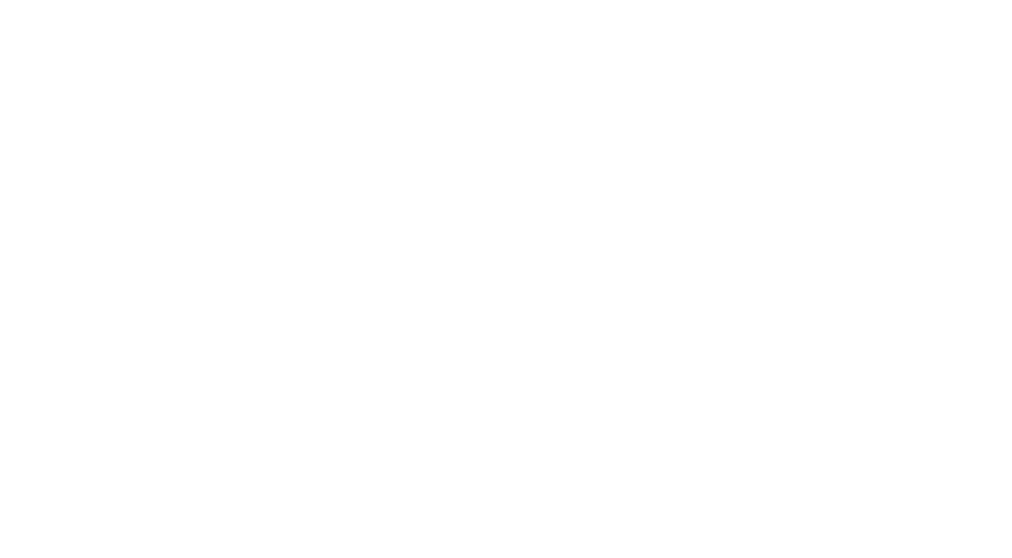 logo fis bianco