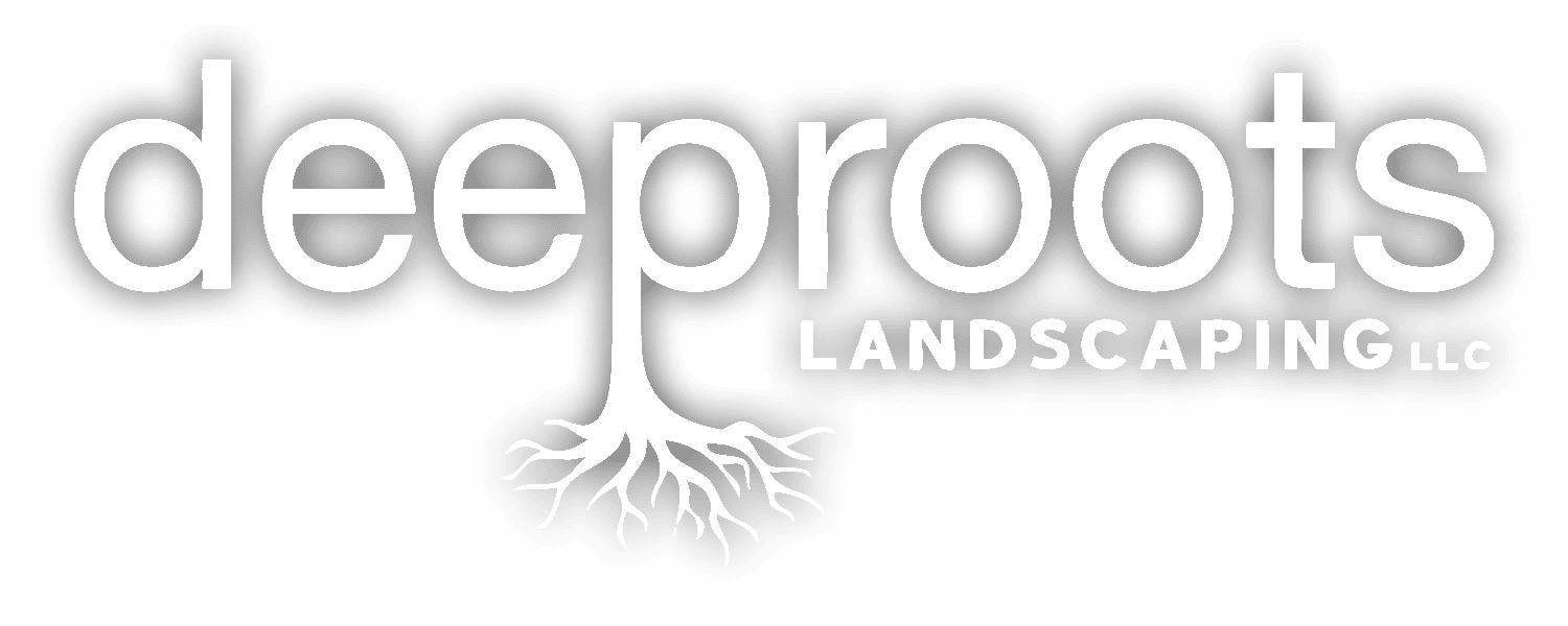 Deep Roots Logo