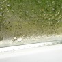 Mold Damage Prevention Tips - Deep Water Emergency Services