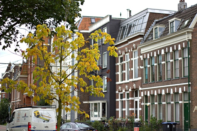 Sonsbeek_08