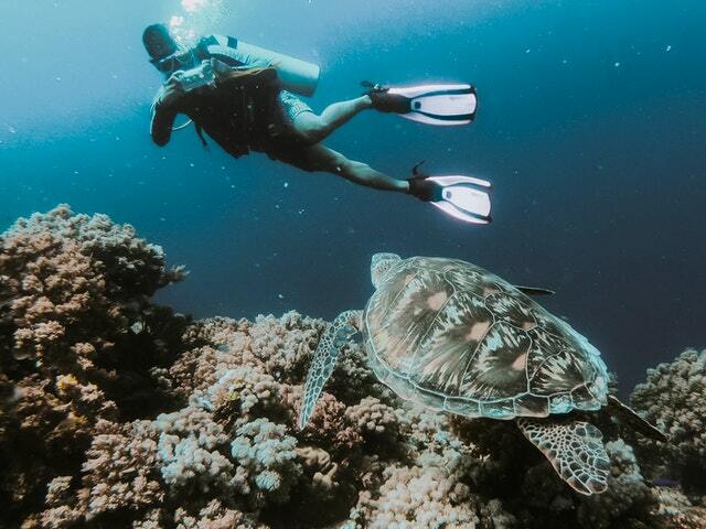 ¿Qué empacar para las vacaciones de buceo?