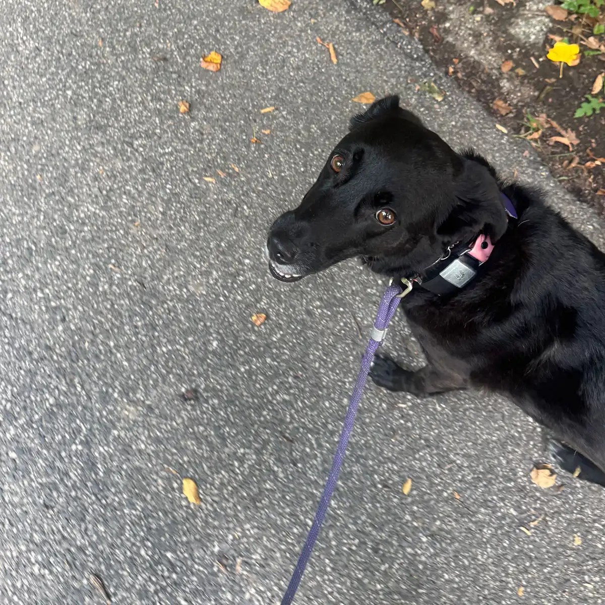 Photo of Client Lucy on a solo Walk
