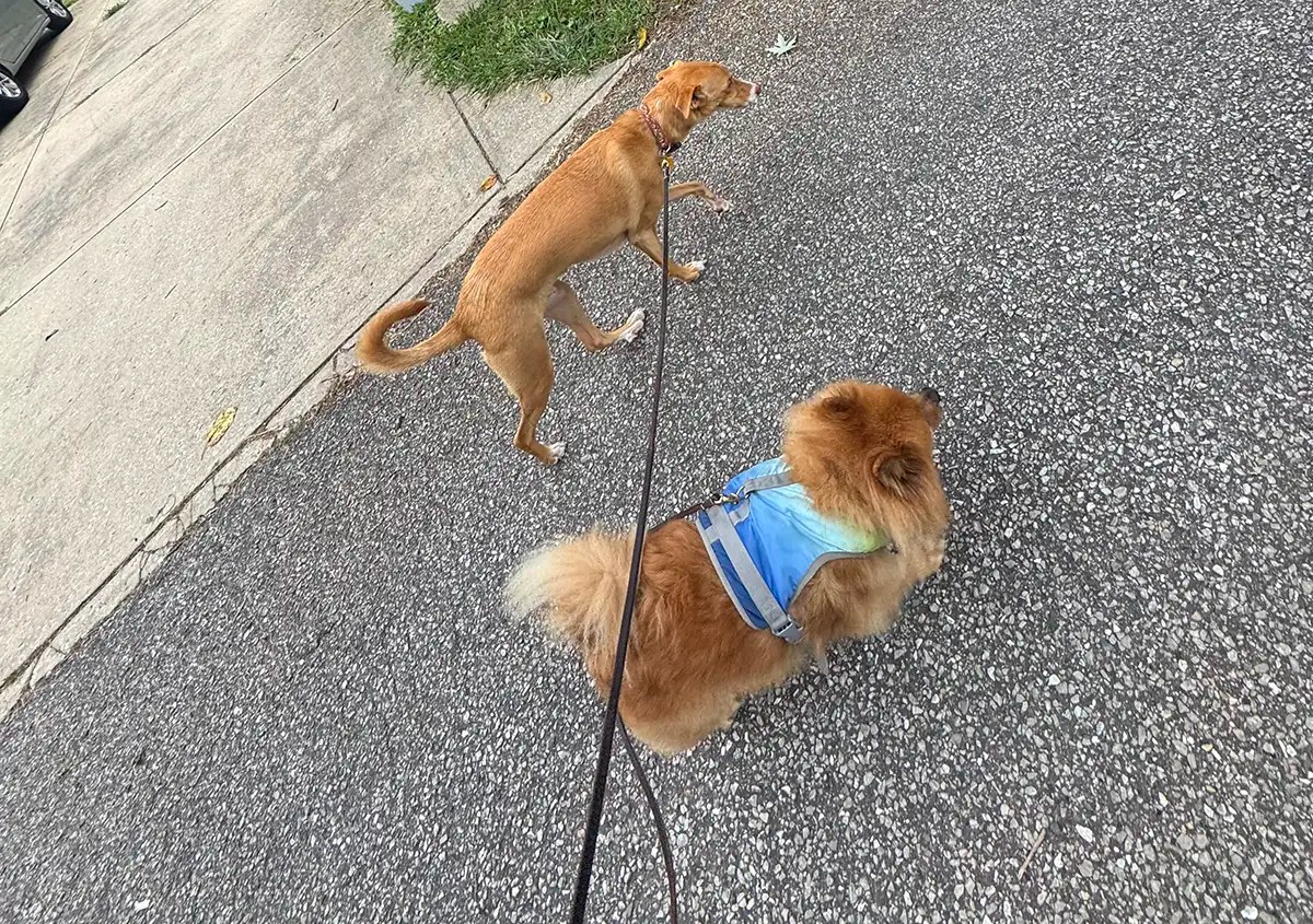 Photo of Dan and Oso