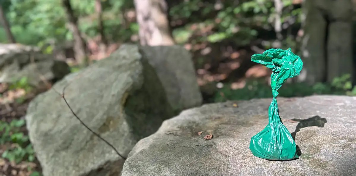 A photo of an abandoned poop bag.
