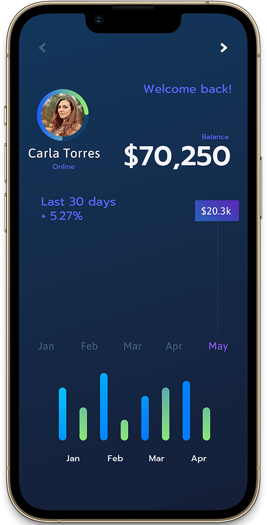 Financial app interface showing user statistics and balance.