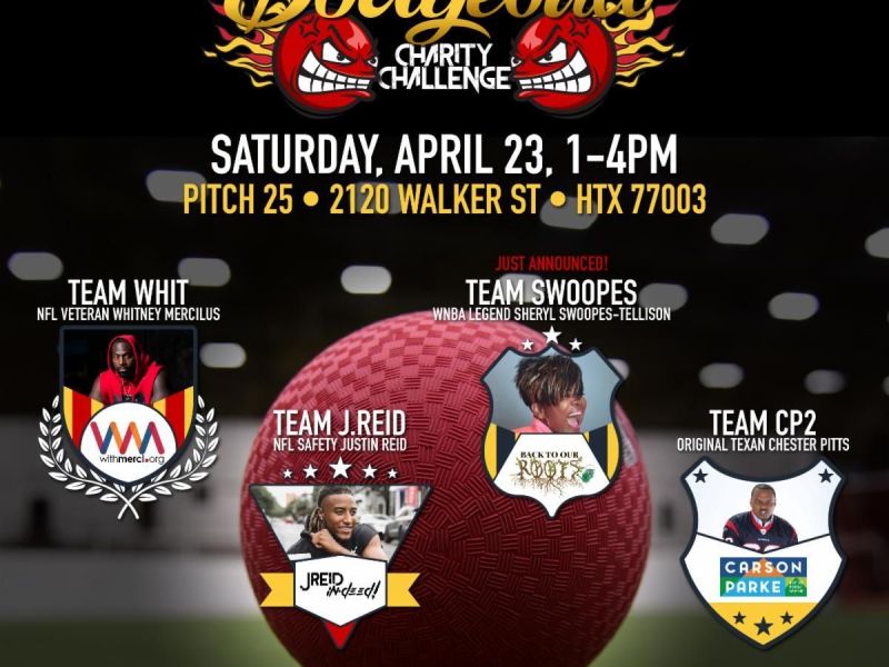 Houston celebrity charity dodgeball charity match flyer.