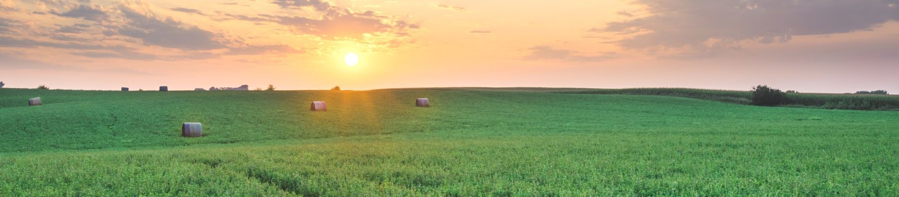 Multi-Parcel Farmland Sale in a 1031 Exchange