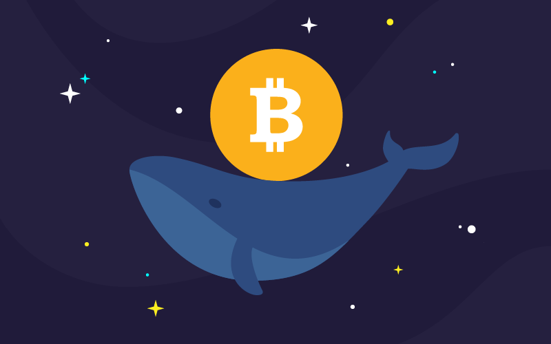 Crypto Whales