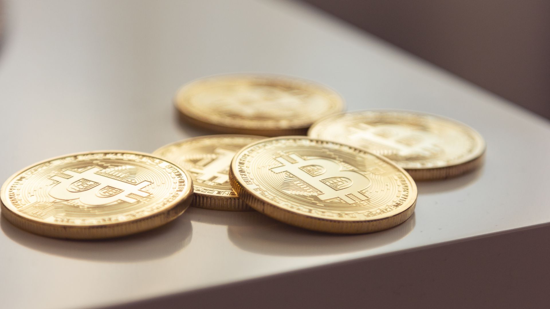Bitcoin Short-Term Holder Capital Falls to October 2024 Level