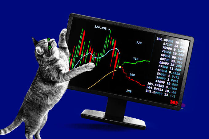 Meme Stock ETF Rebound Leaves Early Investors Below Break-Even