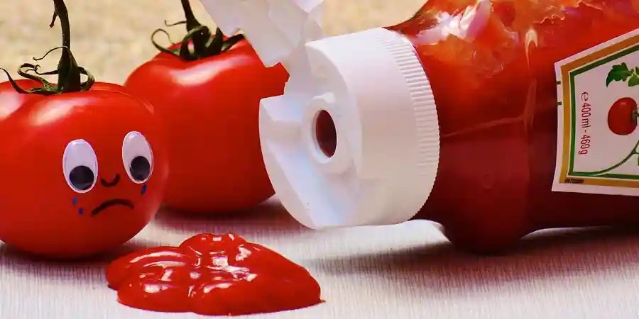 definition meaning of KETCHUP , meaning, synonym, antonym, use example and related words to KETCHUP