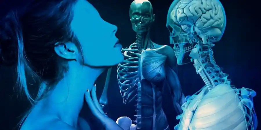 definition meaning of ORGAN TRAFFICK, meaning, synonym, antonym, use example and related words to ORGAN TRAFFICKING