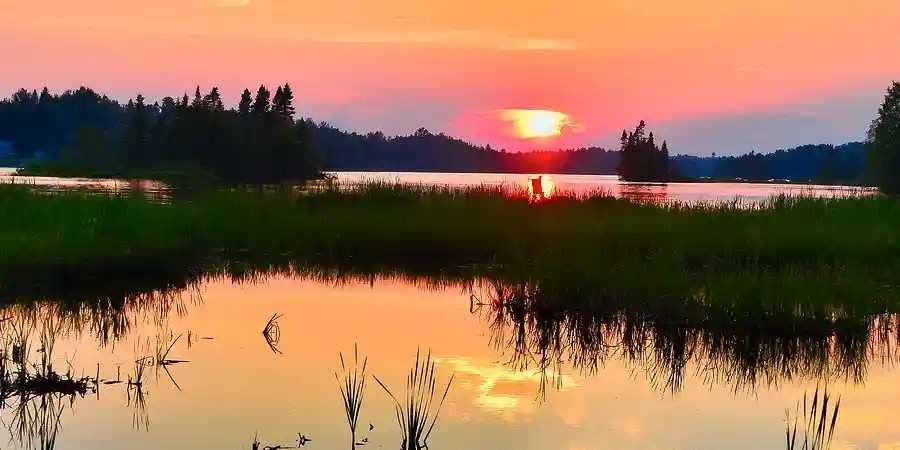 definition meaning of ECOSYSTEM, meaning, synonym, antonym, use example and related words to ECOSYSTEM