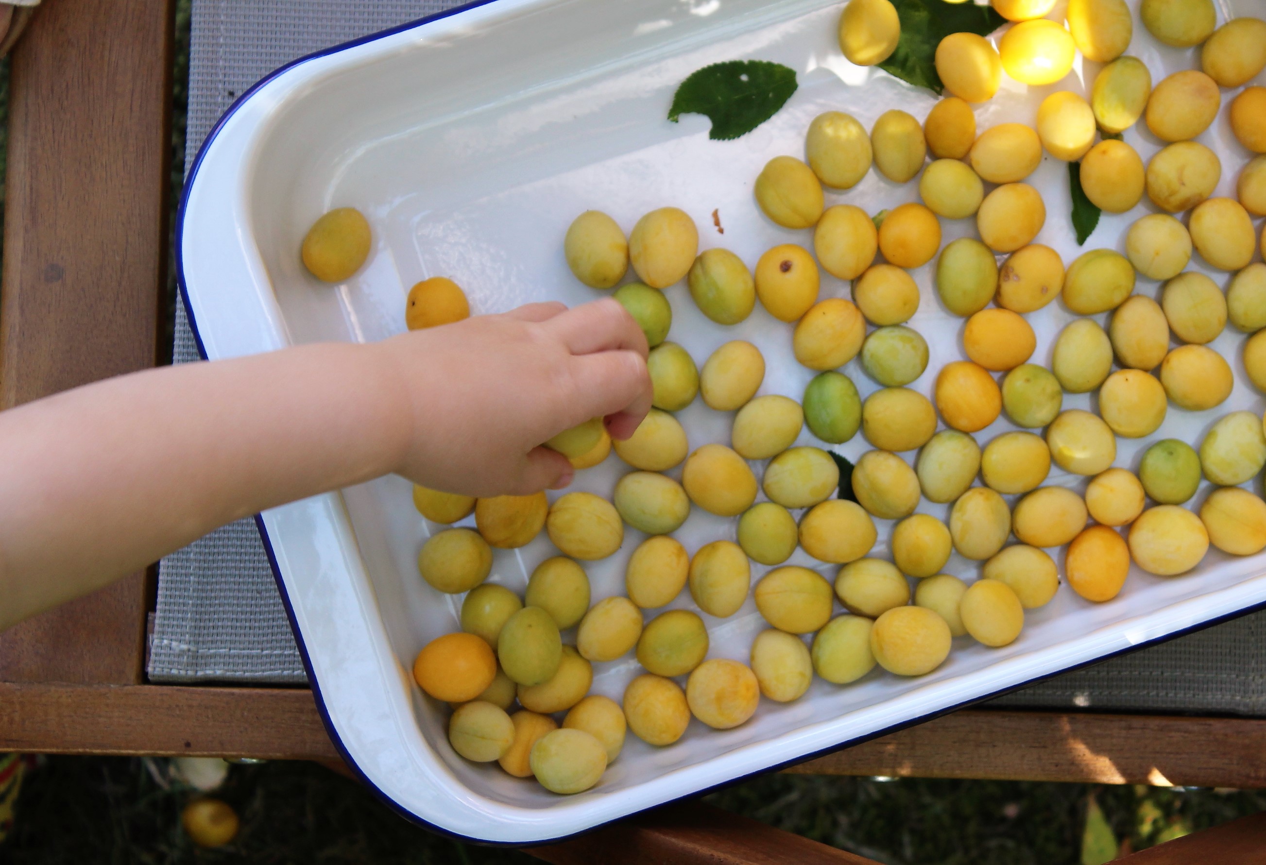 Selbstgemachtes Mirabellen-Eis mit nur drei Zutaten