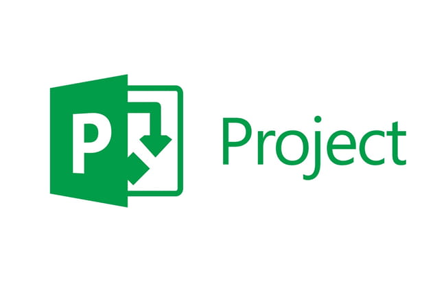 MS project