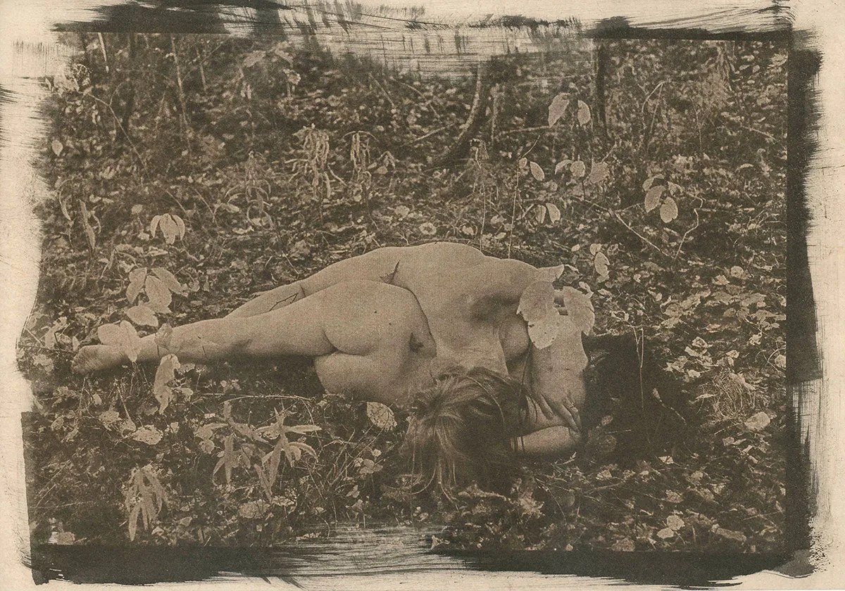 cyanotype © deinitio photography