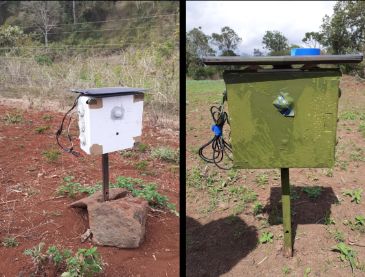 Github Ratsakatika Camera Traps An Artificial Intelligence Wildlife - Nature Art Collection - Retina Quality