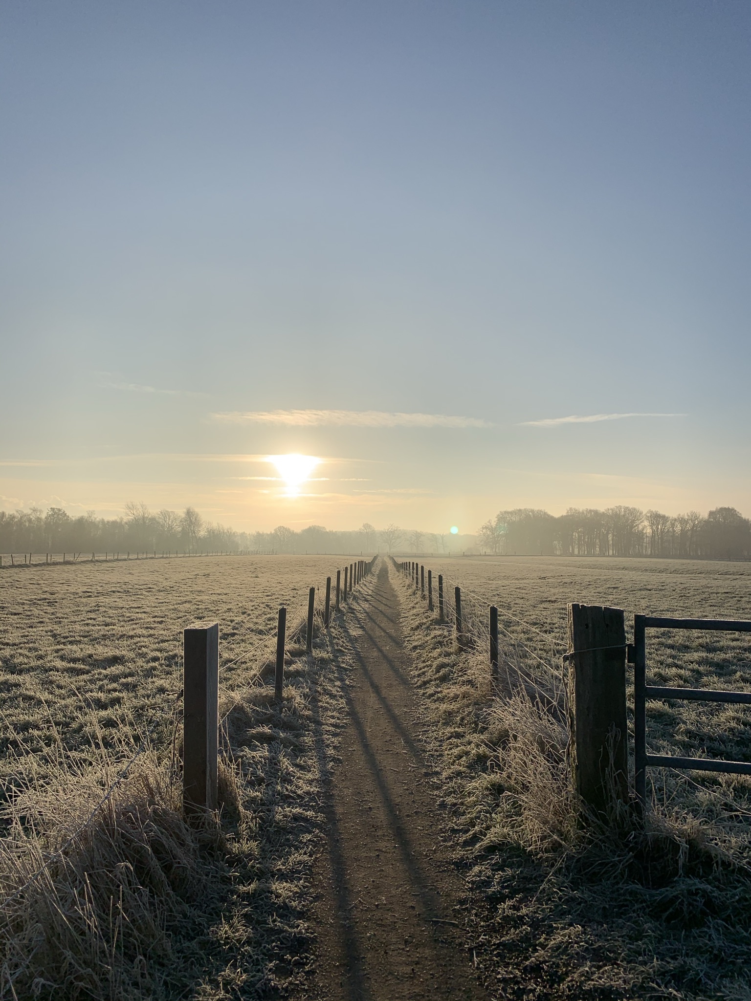 Tranendal - Pieterpad richting Appèlbergen