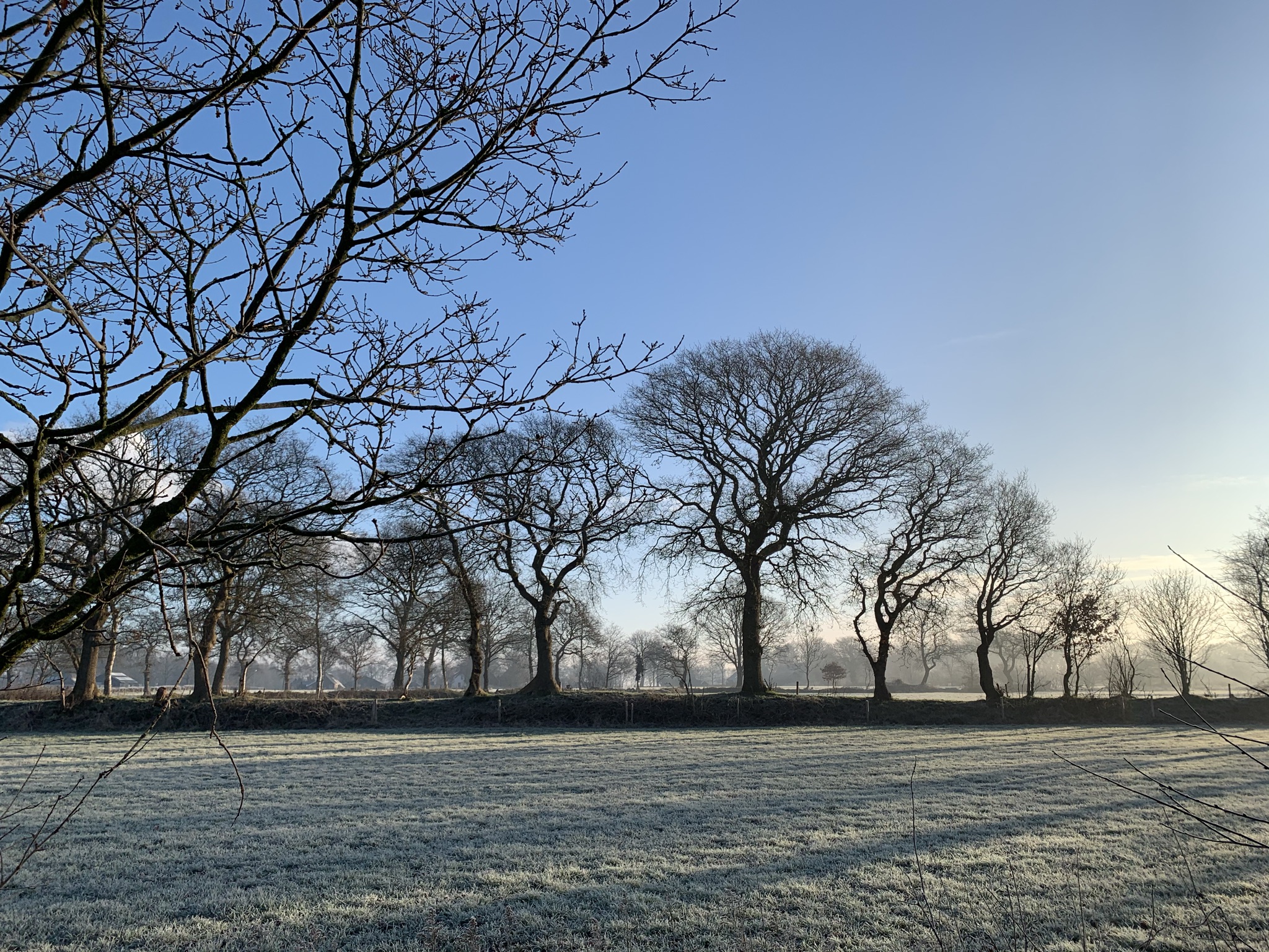 Een prachtige winterse ochtend