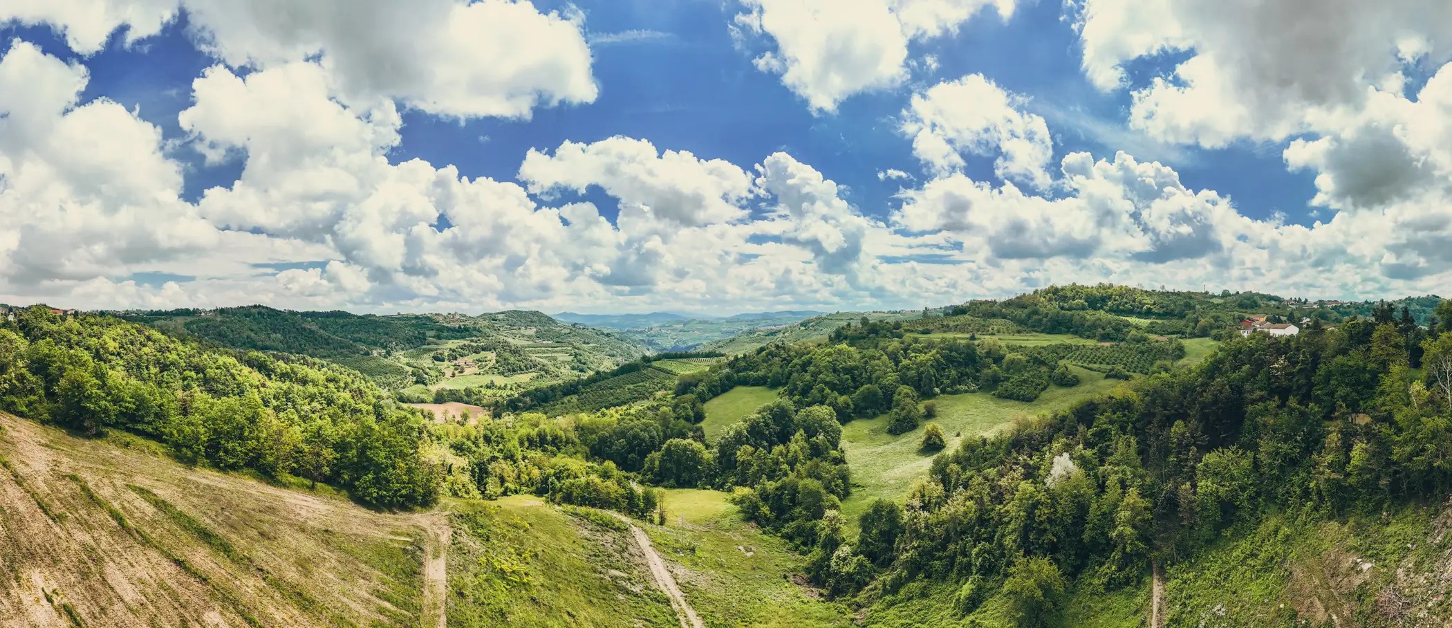 Tour Langhe Delightful Driving