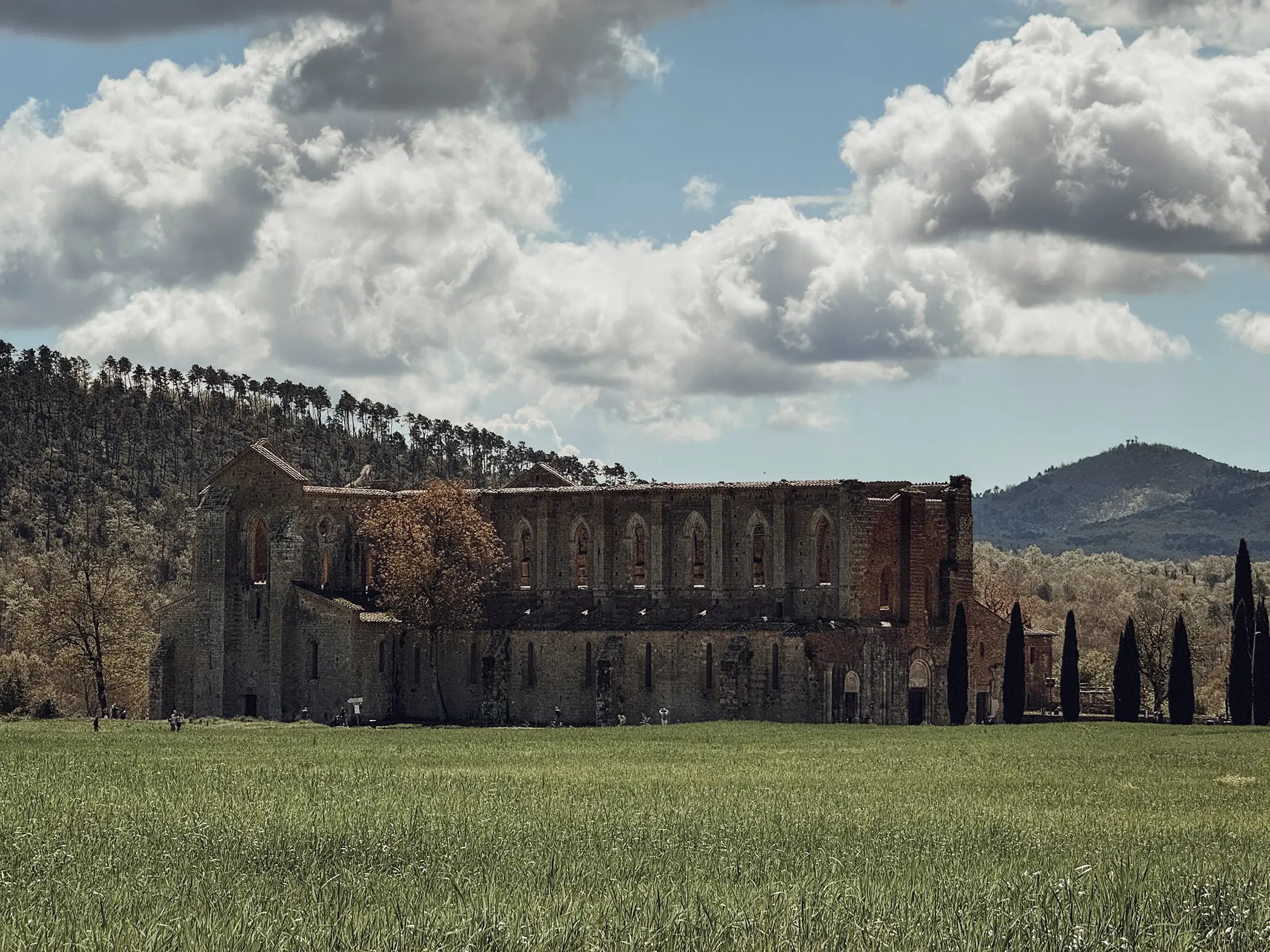 abbazia di san Galgano