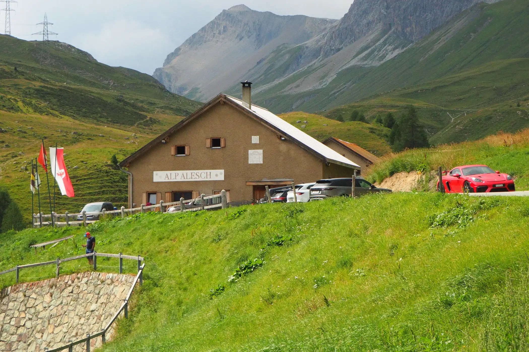 delightful driving Swiss pass tour