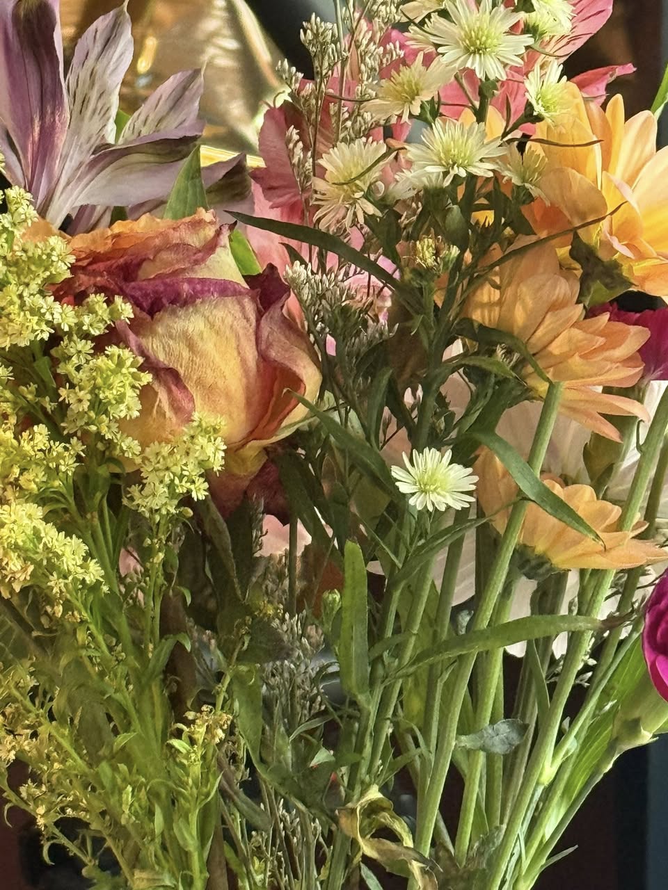 Wild flowers growing together.