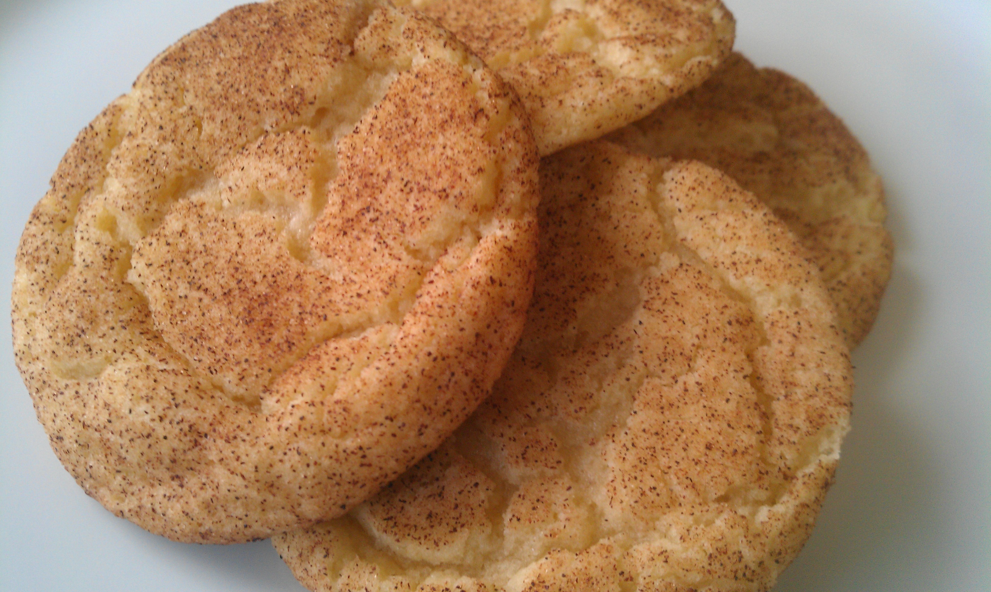 TTW Snickerdoodle Delish Bakery