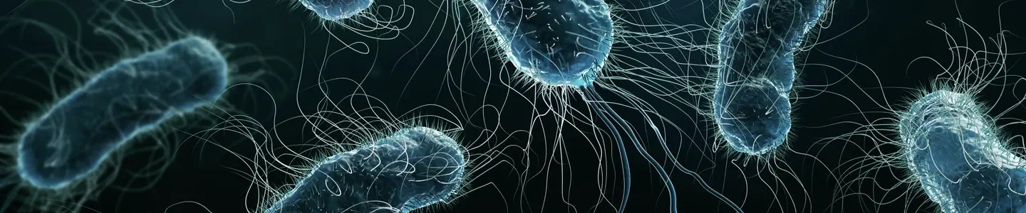 Streamline Microbial Qc Testing Using Microquant邃 By Atcc Atcc