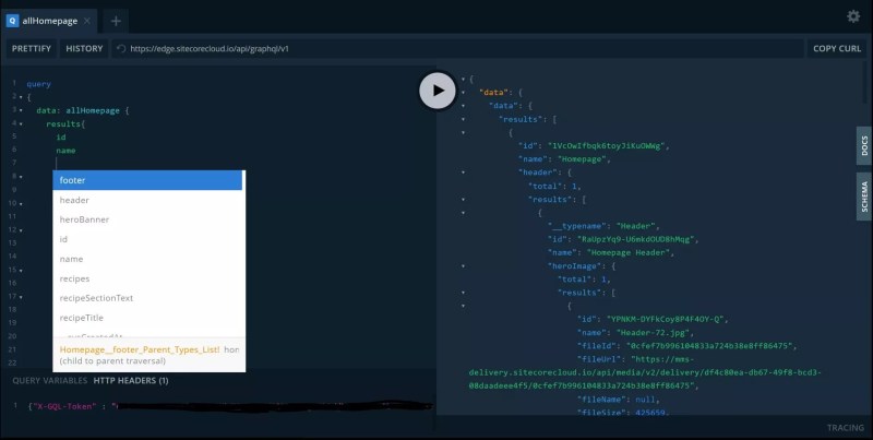 How To Add And Use Custom Properties In Sitecore Content Hub Schemas - Colorful Arts - Elegant 8K Collection