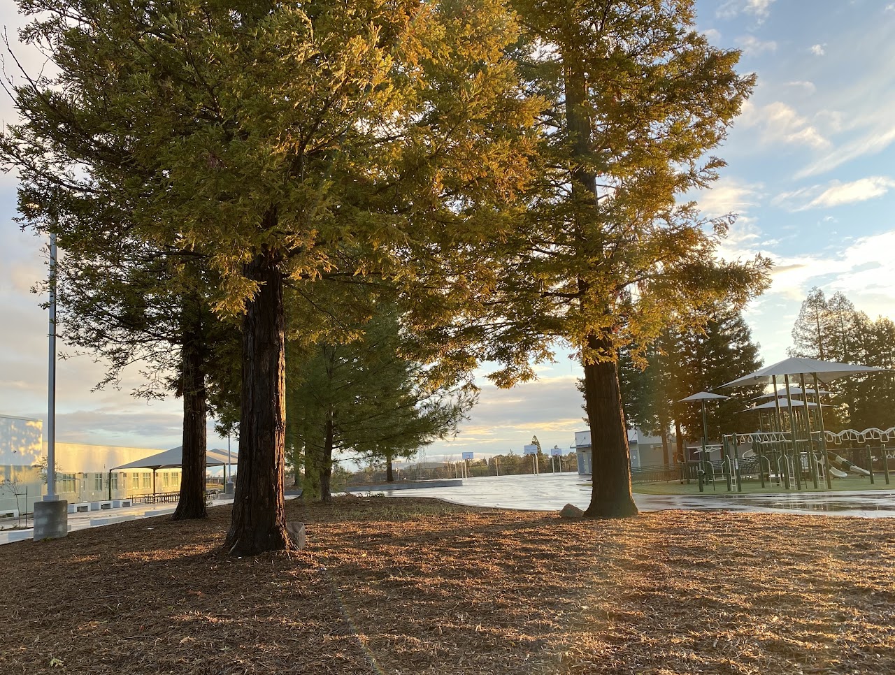 File_002 Del Monte Electric Co.