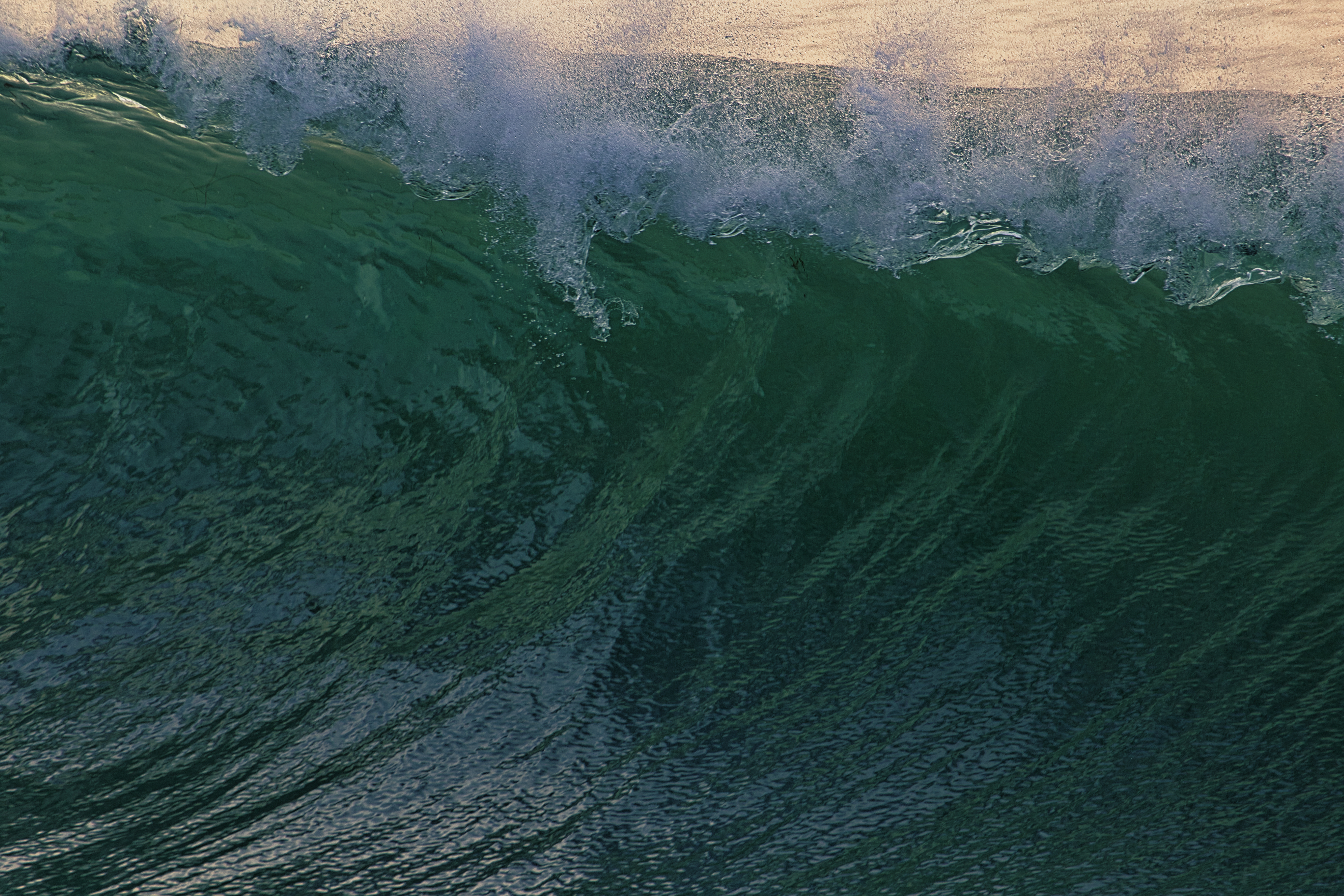 The Wave