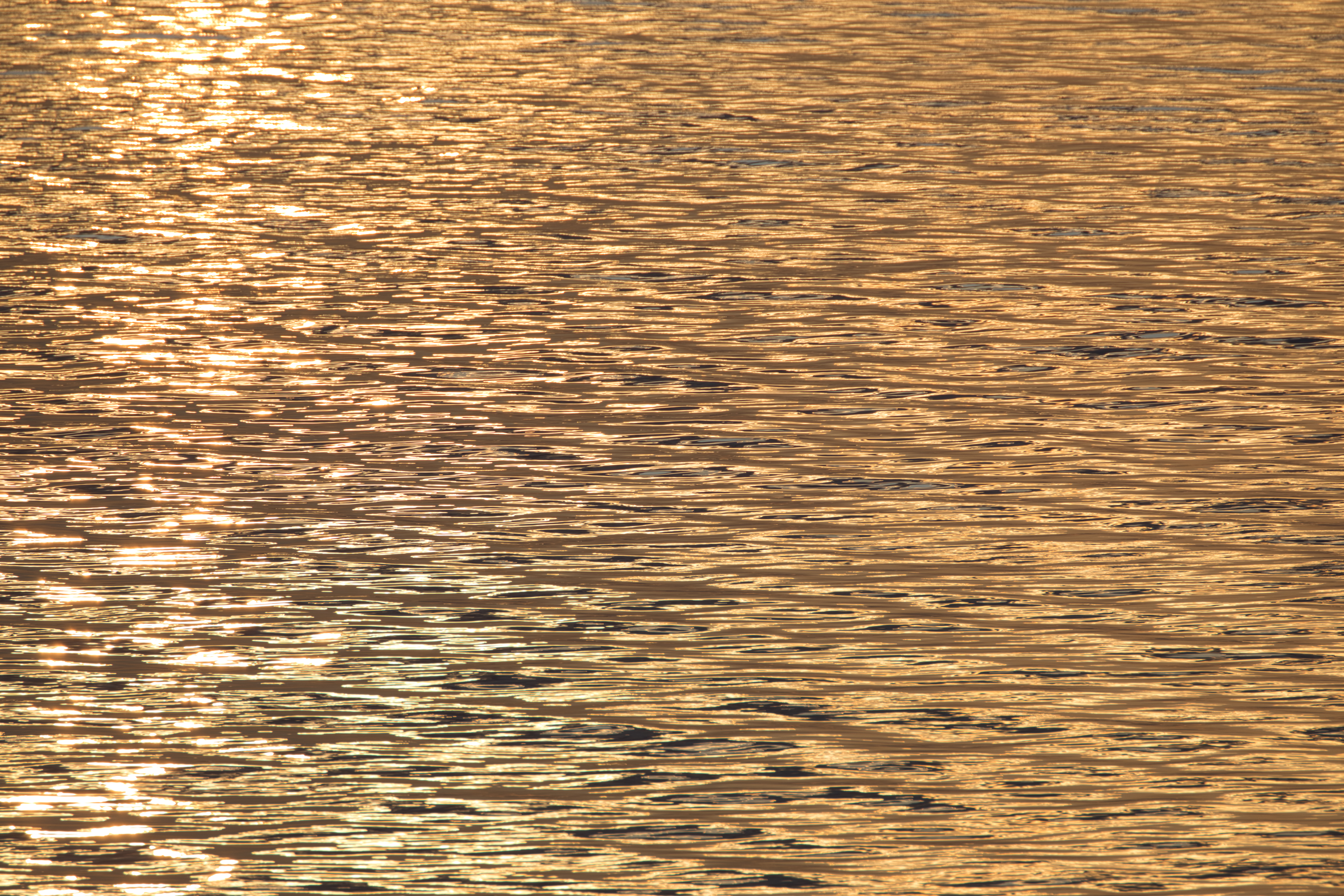Water at Sunset