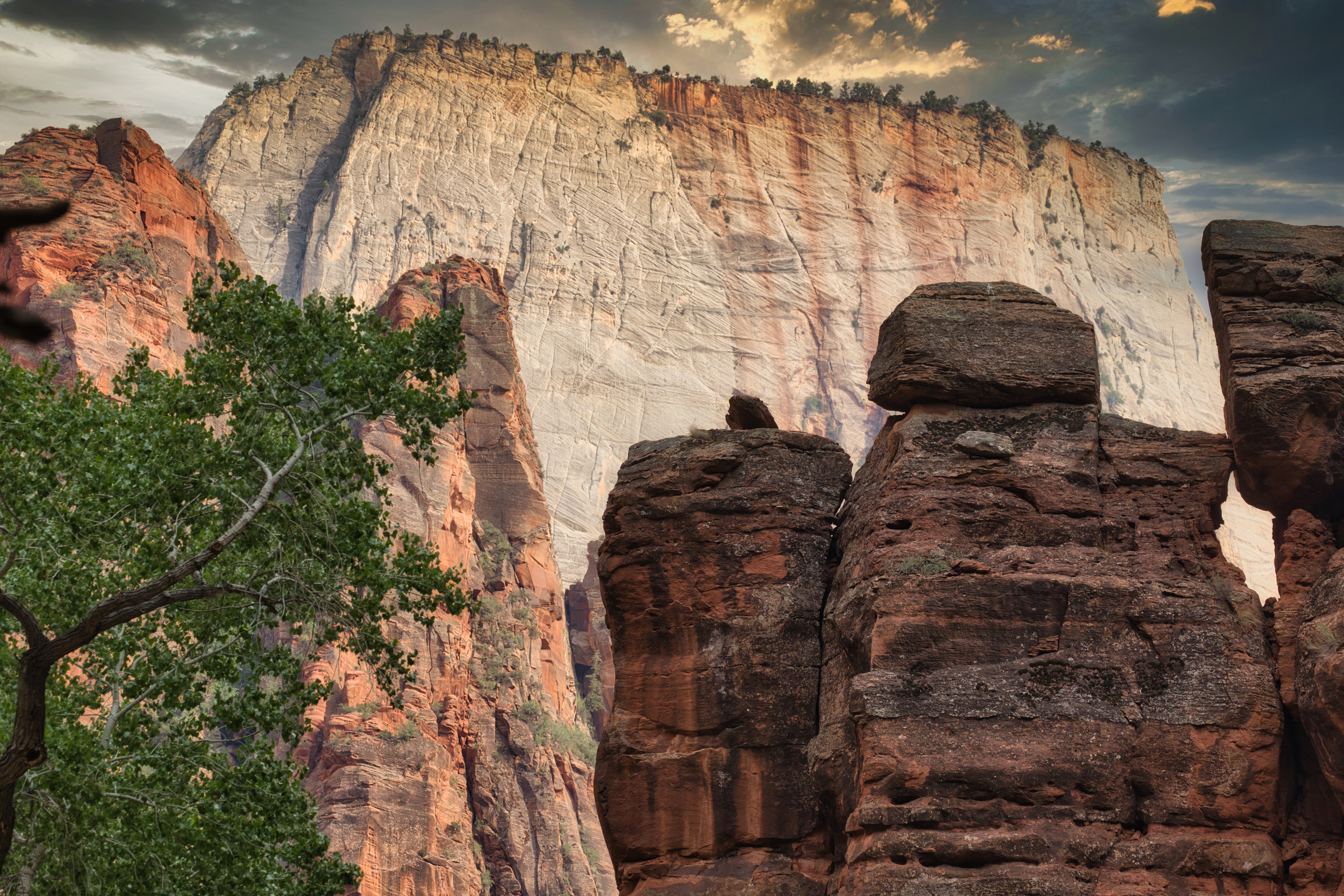 Zion National Park