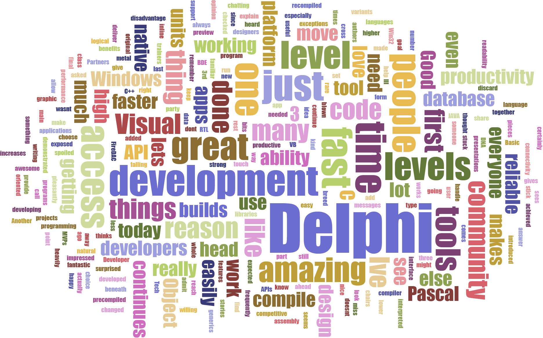 Delphi DNA Wordcloud