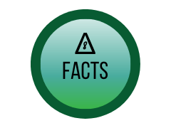 Delta 8 Facts