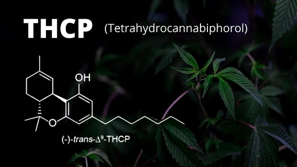 THCP Isolate