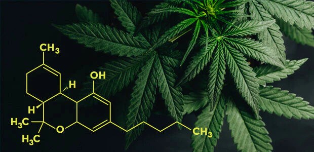 THCA Drinks