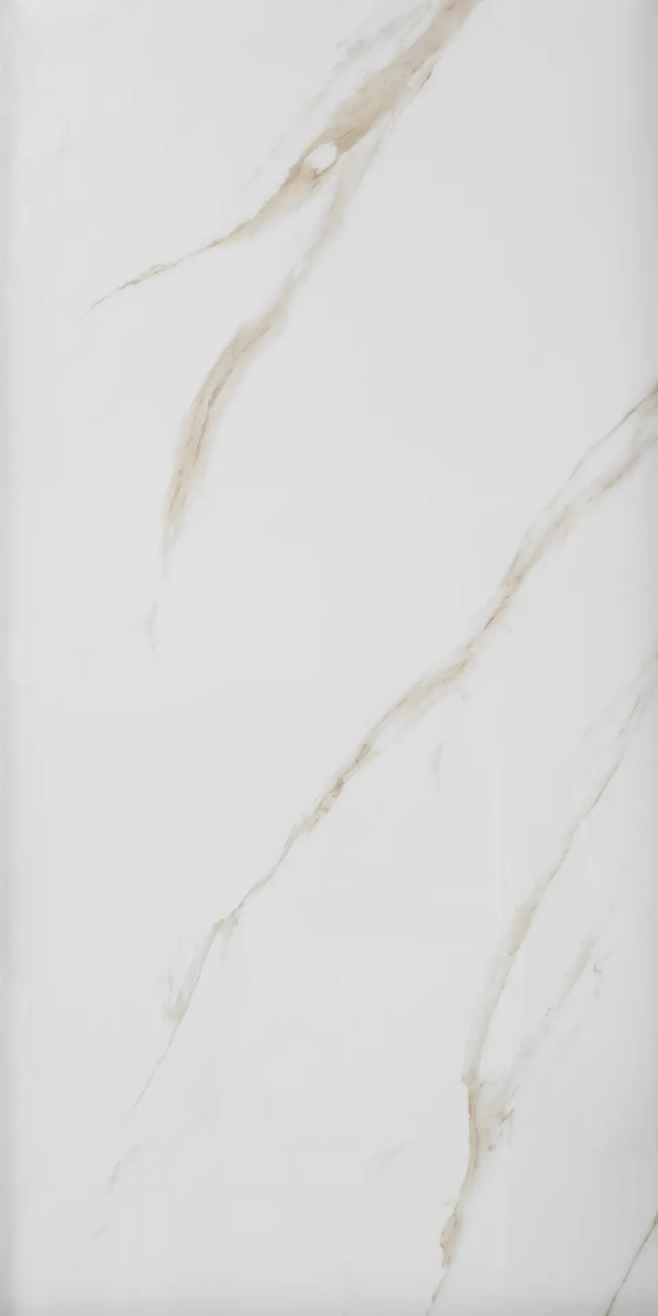 Calacatta Gold – Glossy Porcelain Tile
