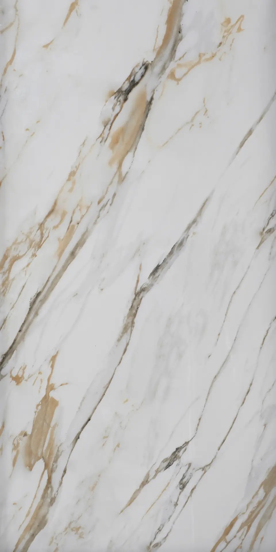 Palazzo Gold