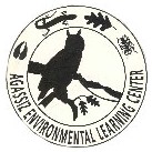 Ink Illustration for logo design