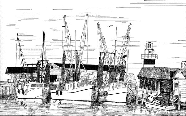 Pen and Ink Illustration