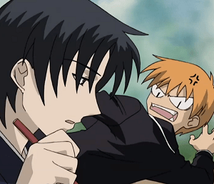 I consider fruits basket to be the naruto of shojo anime. Anime Review Fruits Basket 2001 The Demented Ferrets